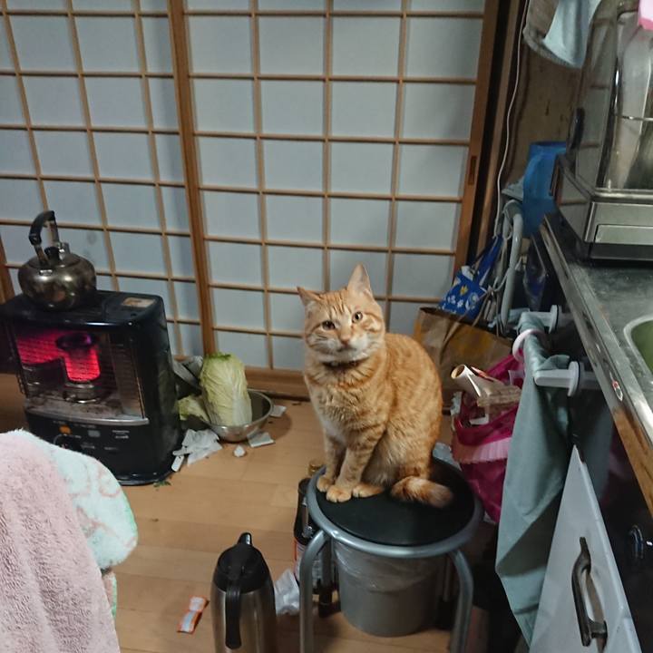 0c490e74 2c1c 4f5f aa3f 6f6b63a91cb6 1645445194816