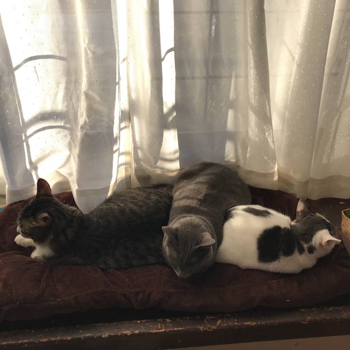 0c4951de 5cb6 4a54 bb35 1030755810e4 1512515349949