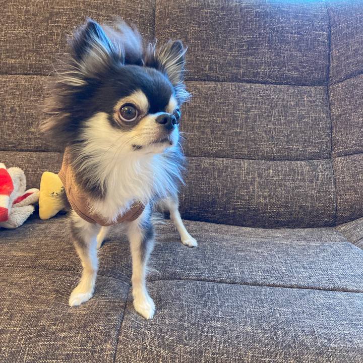 0c497b36 3da8 40aa 91b0 86a522dd5e5f 1706344044058