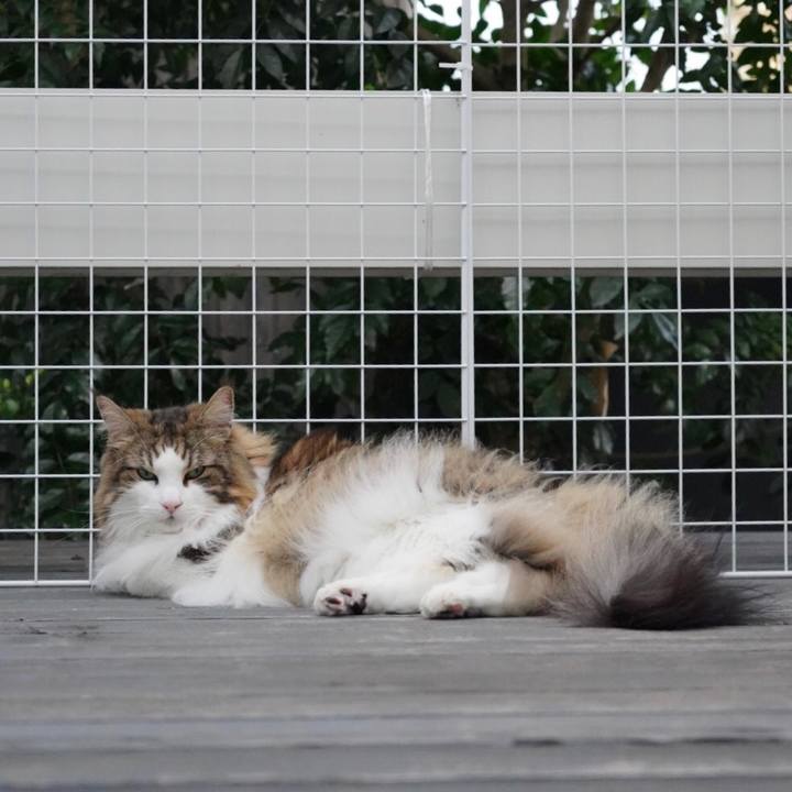 0c497e5e f54b 4ffc b85e 0a28958510bb 1661294664844