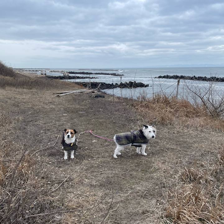 0c49991f 7ace 4e49 95a2 811f3994c526 1741043526423