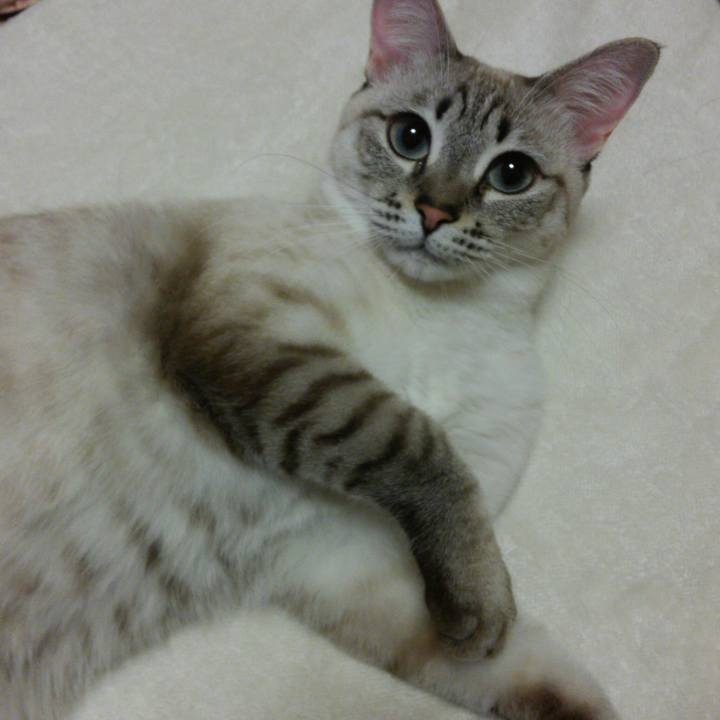 0c499b17 f32f 4890 9e66 cc19a02e7682 1510497675134