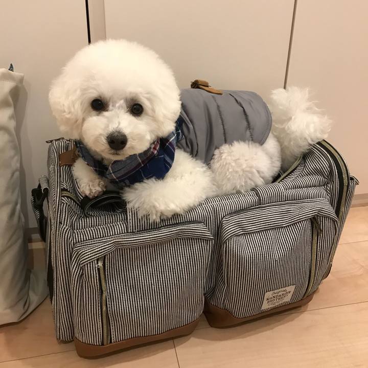 0c49d1ff 5325 498b a5c3 7505a5329354 1519539115041