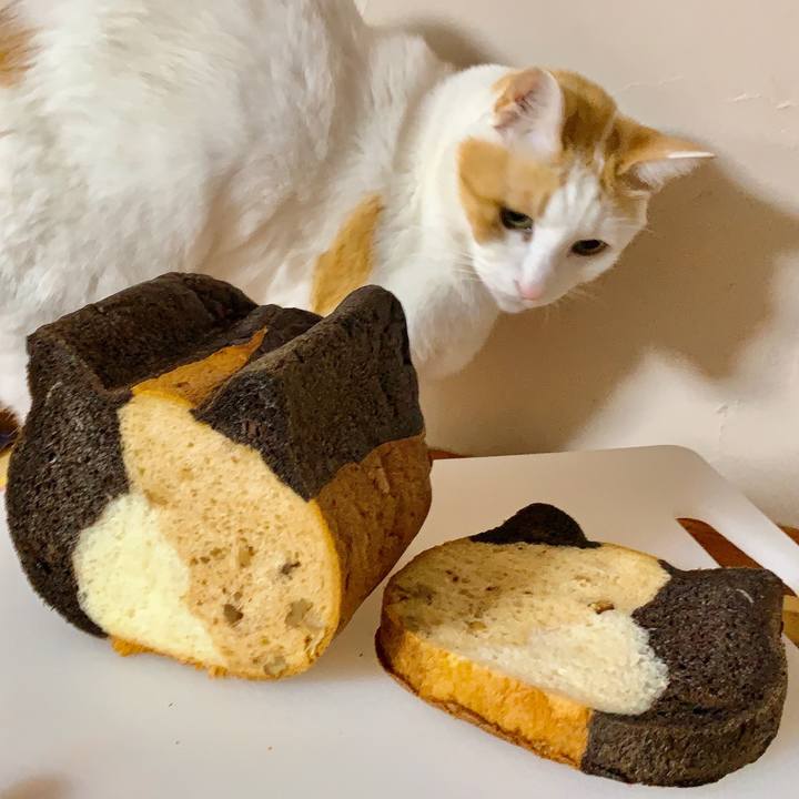 0c4a039f 160a 4496 b380 a87873f6432e 1614074445538