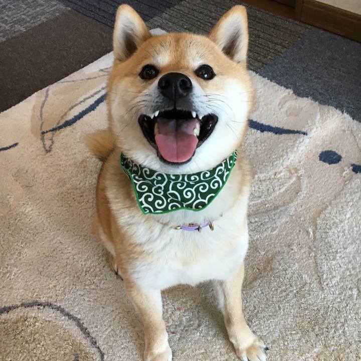 0c4a1fef c4d3 460a 9361 266d135af576 1521771447122