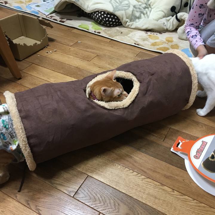 0c4a24ef 30f0 4e7c 8909 f52bb4ab8cd6 1514115681546