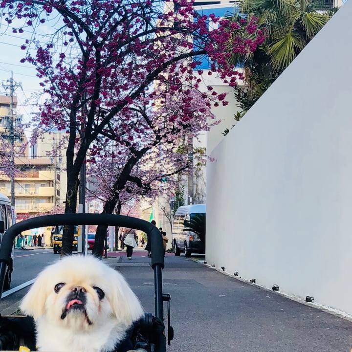 0c4a28a3 3465 4c00 af6a a363d9d02757 1615192307925