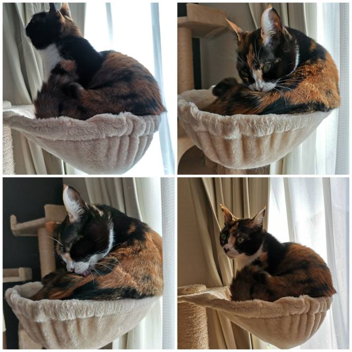 0c4a2990 48f7 495c af5e 750cf4a67f2d 1670300769133