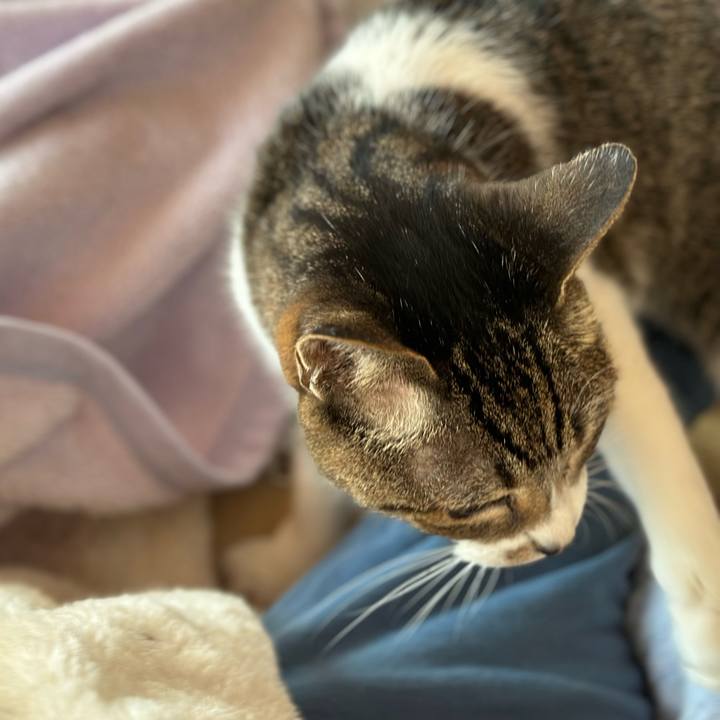 0c4a41dc 6658 42b8 8c97 e252ec8de097 1679623786217