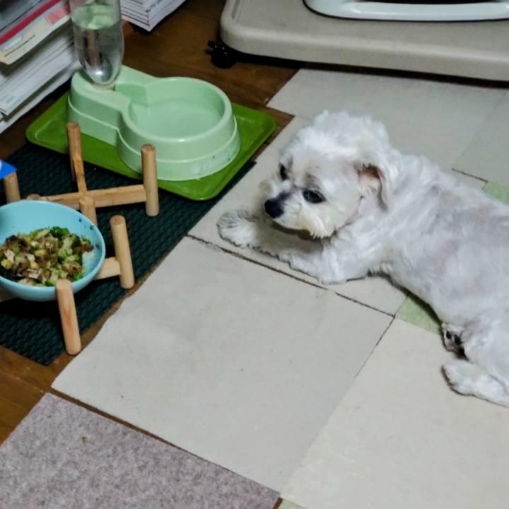 0c4a4632 22d9 4aa0 8494 d4ba246dcef6 1716905996536