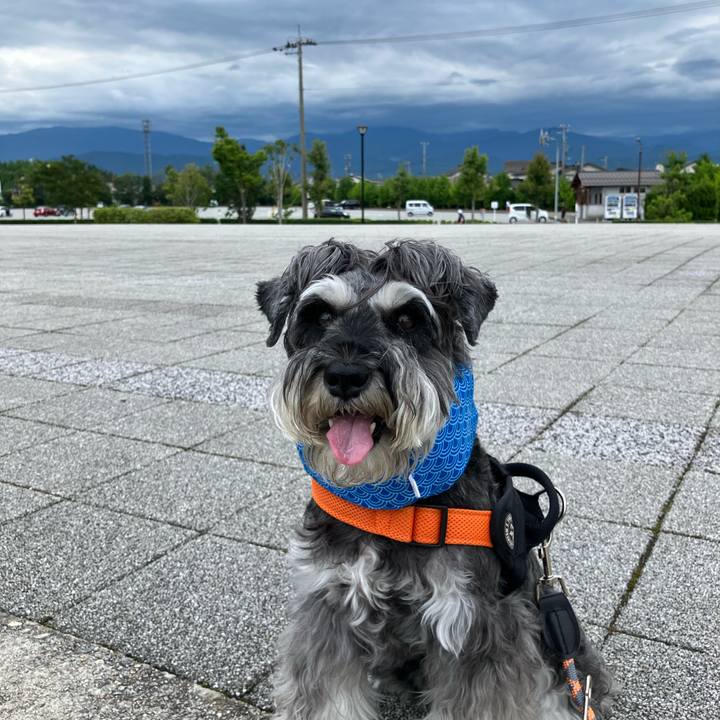 0c4a5704 89f2 4a4a 9392 0472e0aab382 1721517223441