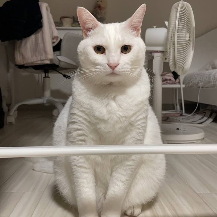 0c4a6fd7 8cdf 4ad8 8feb e94924fbb1be 1692163941274