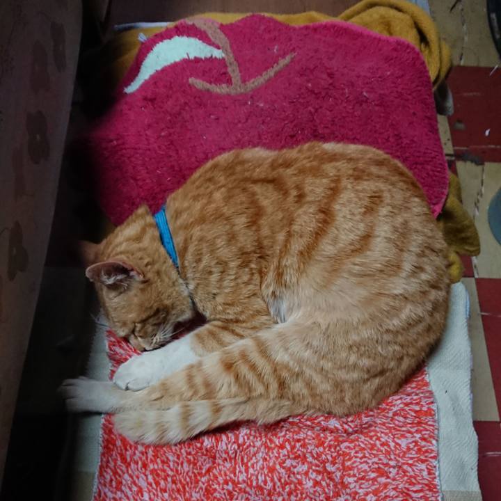 0c4a8e05 ad08 4c76 bf71 b209580a0958 1556053747318