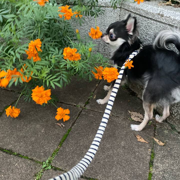 0c4aa457 6e82 4735 a0b7 385e0c9fe040 1602503604026