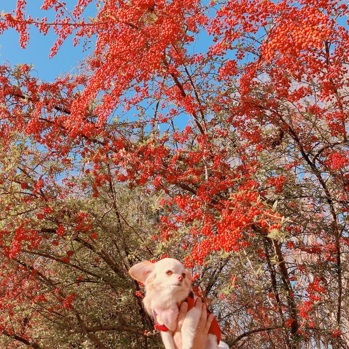 0c4ad43c 457a 4622 aa34 91d77f7d6046 1673250829314