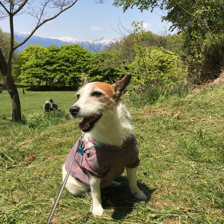 0c4b010f 32f5 416a 9847 ea1733d8dabf 1651622325724