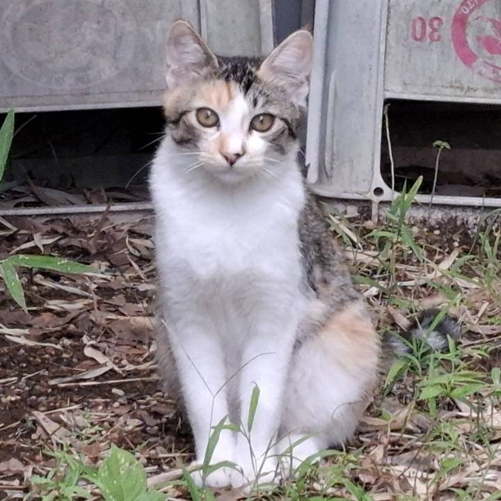 0c4b1a7c 9d61 4632 8be3 3497b2eb0a09 1759202409284