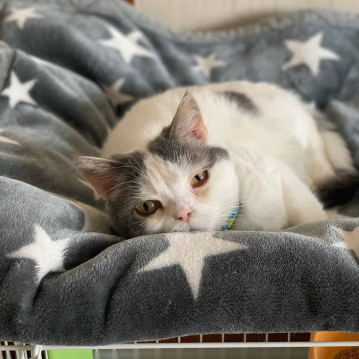 0c4b3029 6dc2 4493 9285 6354f2746ffc 1684106868813