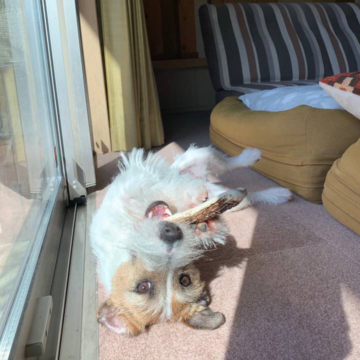 0c4b6b0f cd18 4a2d 89ba 34ebb9beb8c3 1584405896938