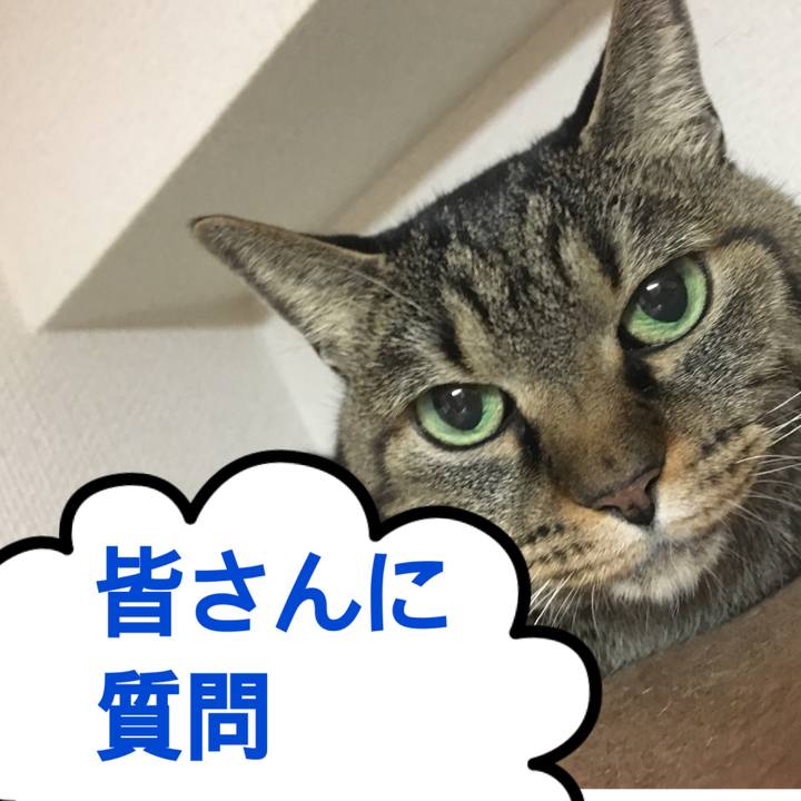 0c4b8060 9b92 4eb1 bcac c286884344d5 1513911908542