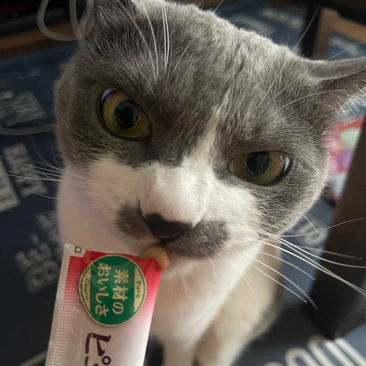 0c4b9760 acd5 4243 aeed 69d0ec2b1a8f 1718521185315