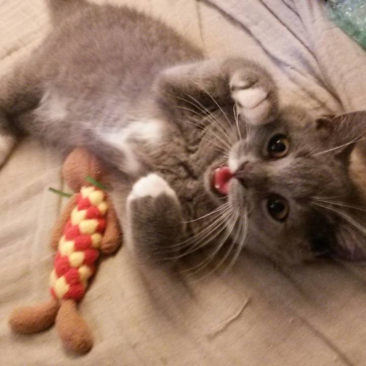 0c4b9feb ca87 4afd 8ecc d90c01e4d6dc 1577670724304