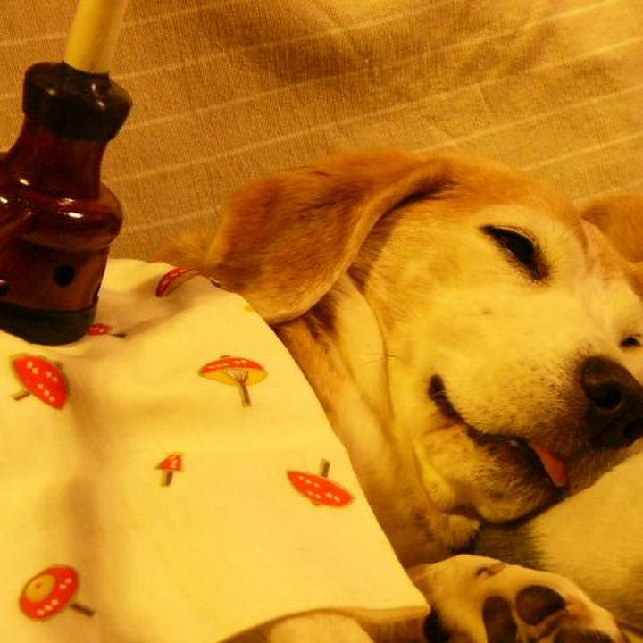 0c4ba73c bd17 4196 90d1 1705106d00c7 1676683675030