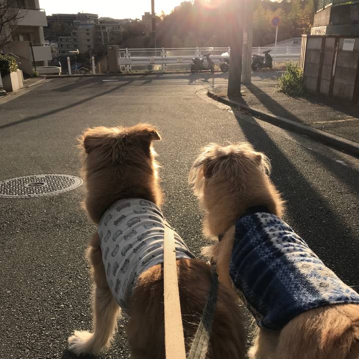 0c4bb16b 0ac2 4680 9b68 cfbc8fe2b9bf 1608332049212