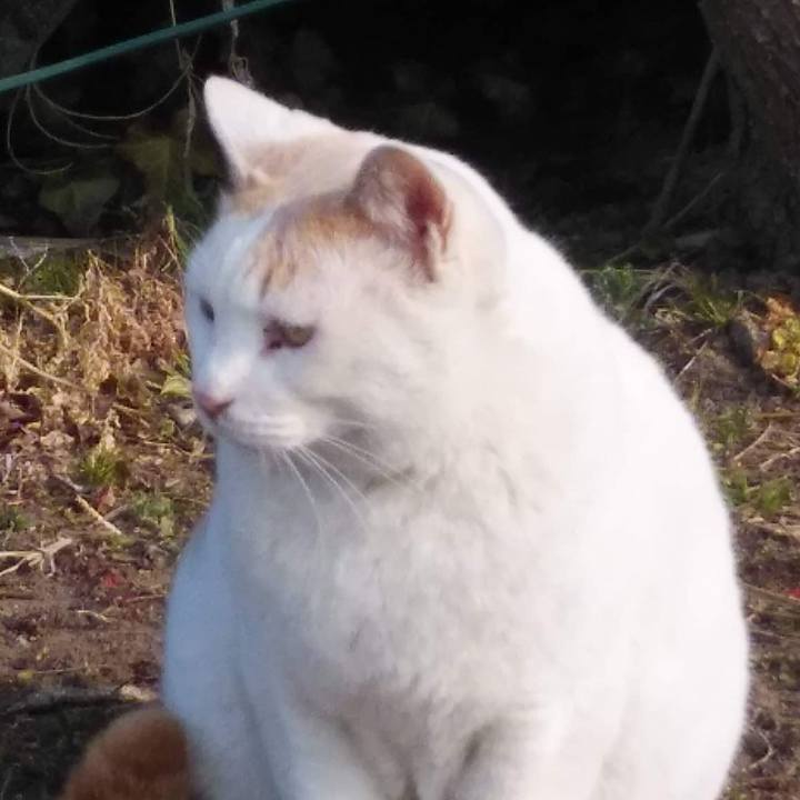 0c4bc1fc c646 423a b9df 7f378a1241aa 1646129587466