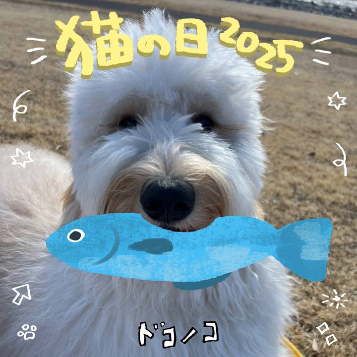 0c4bfc1b 54db 4a34 876f 4b6b1d537aef 1740217008993