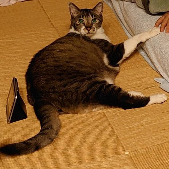 0c4c084a 3b4c 4faa 9f4a 51d72c7d4b73 1720434512804