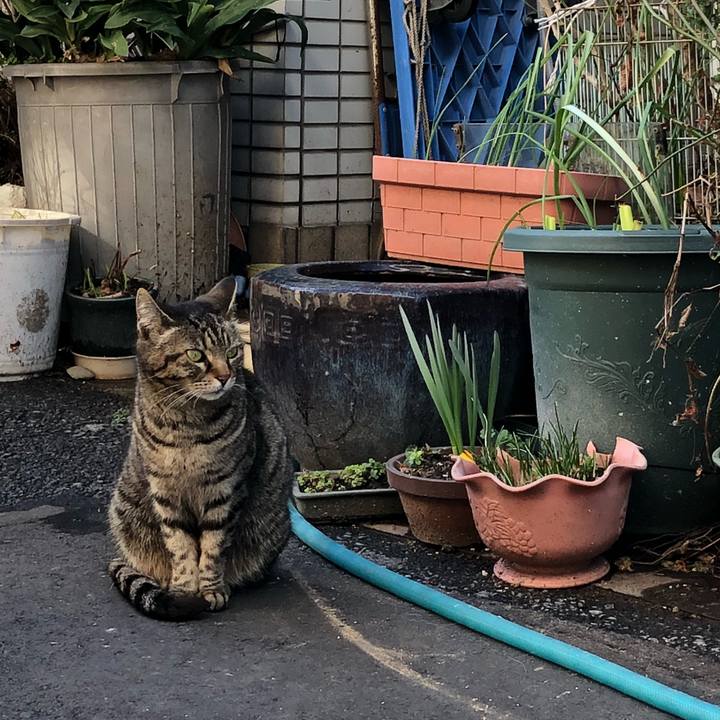 0c4c0a3a f338 490a 98e8 3f9bd4080f69 1519885141880