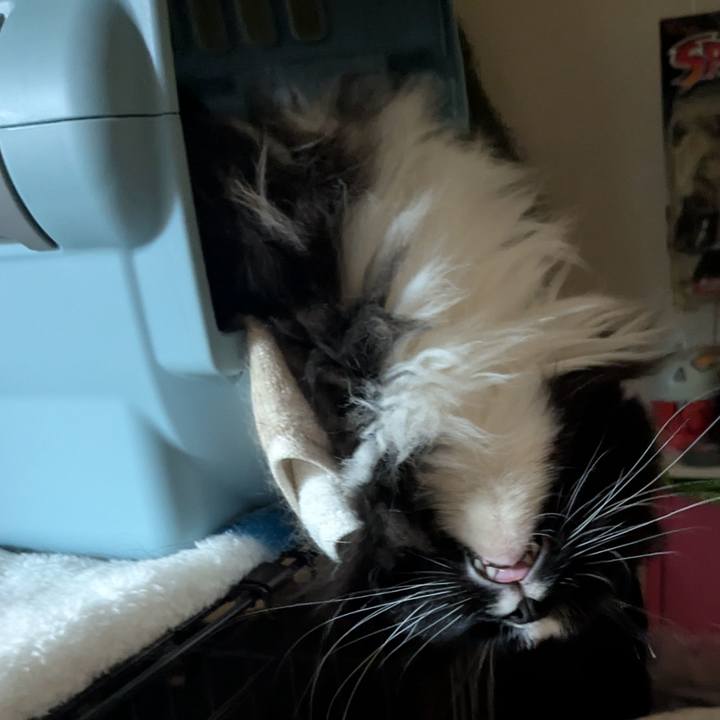 0c4c111c e142 4497 b47f 106b143f0c5e 1752880323461