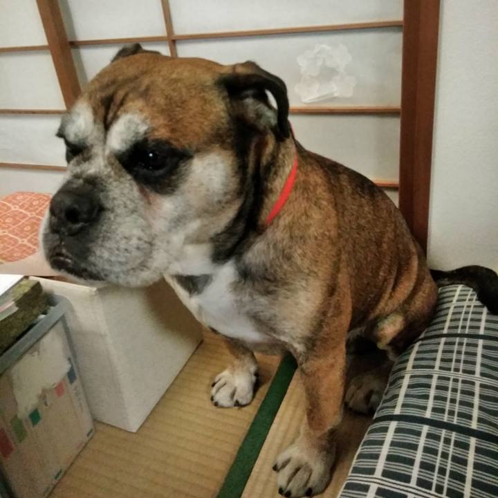 0c4c7d2f 877f 44d7 a850 560c5912113d 1514726805654