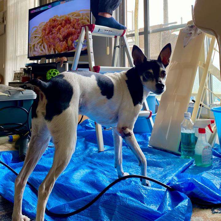 0c4caca0 8369 4b67 95a5 9ce4608bd480 1621054559447