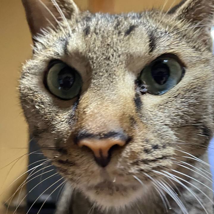 0c4cf7cb 32e8 4983 8f37 60089f6f3edd 1764075522194