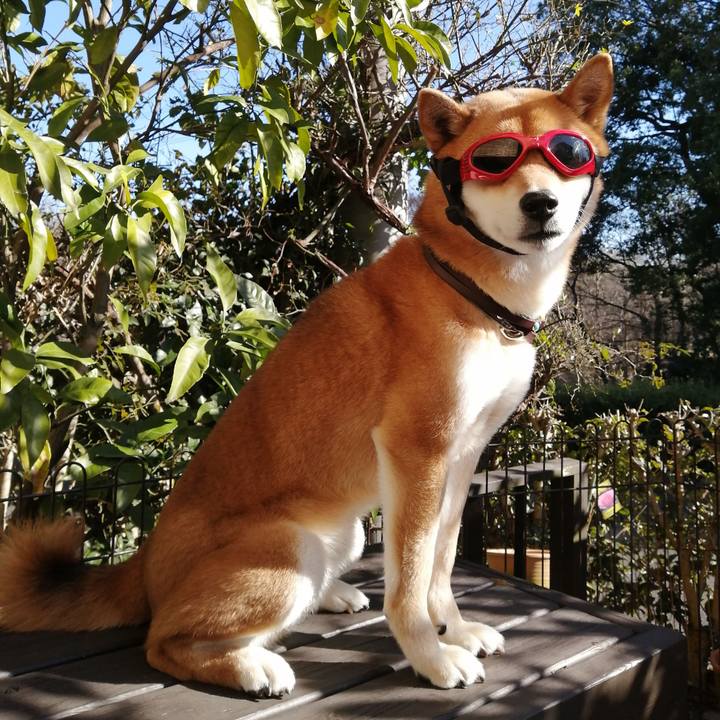 0c4d1e8b b98a 49a0 a820 87b2890910e1 1582003747340