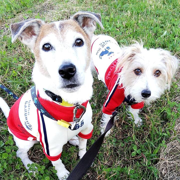 0c4d246a 4eff 44fc 9bbb da2f290179bd 1572688233434