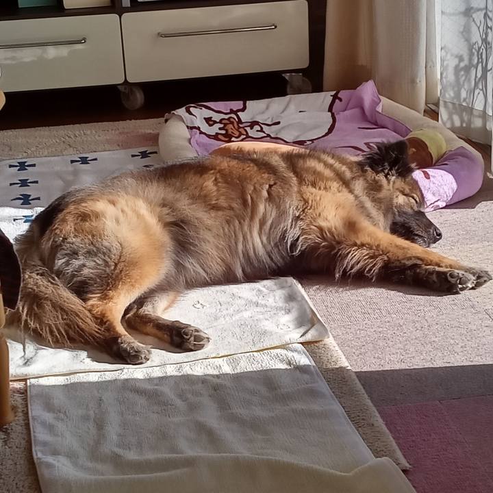 0c4d2ab4 f34e 48c8 83a7 26a36fd4b919 1771288866439