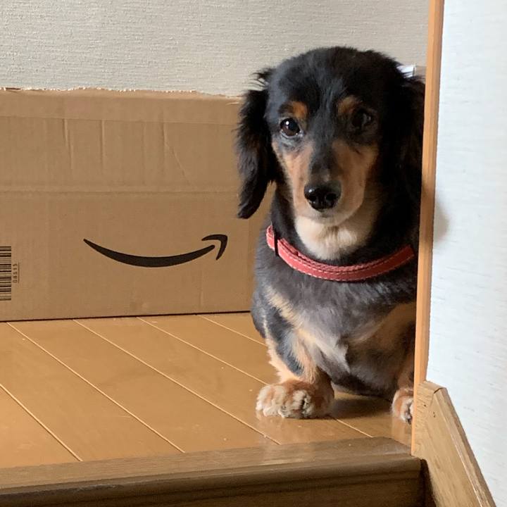 0c4d5224 574c 498b bbc8 5116fa665fc6 1563062065714