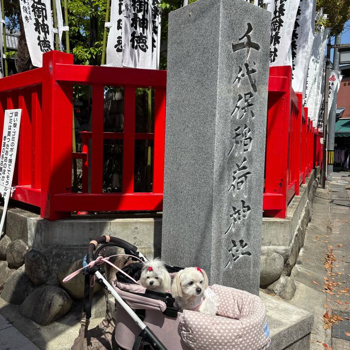 0c4d796a 041b 43c9 8aea 3cc2229fb6be 1744620792534