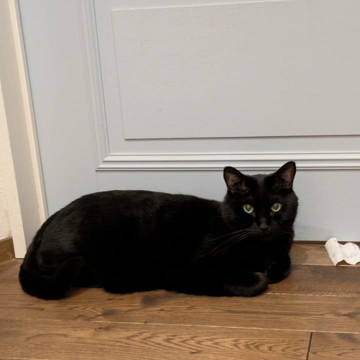 0c4d8b60 c860 414b 89d7 5ea11d7b6a22 1762672429717