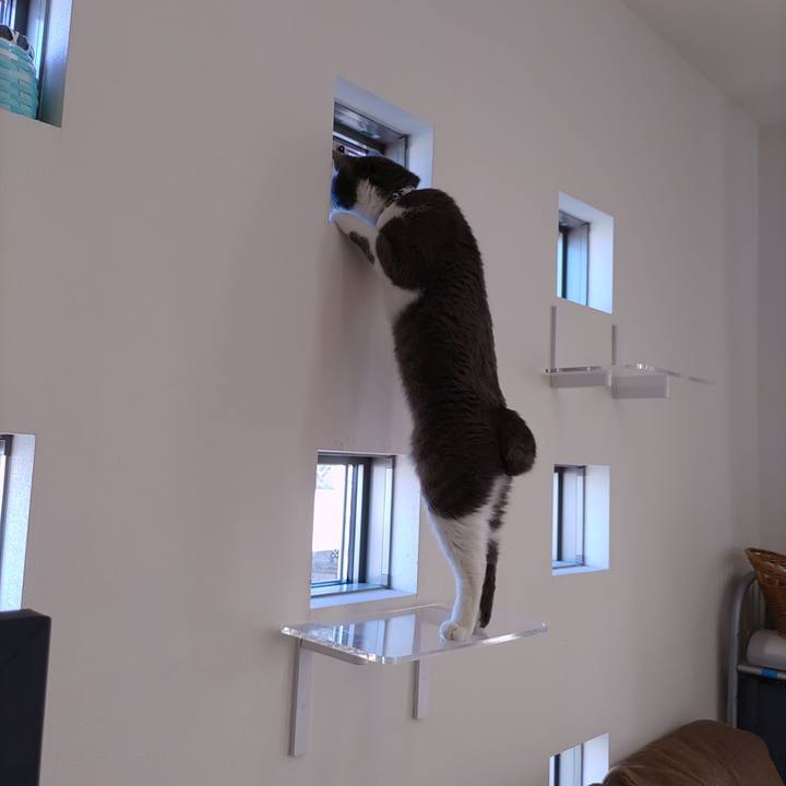 0c4d9be6 4ab3 490a 9d04 5cc9959fbb78 1672145705336