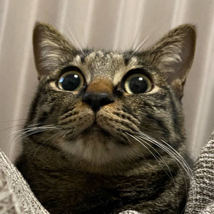 0c4dcaa6 0379 455f a059 03243b7d22d0 1646313302650