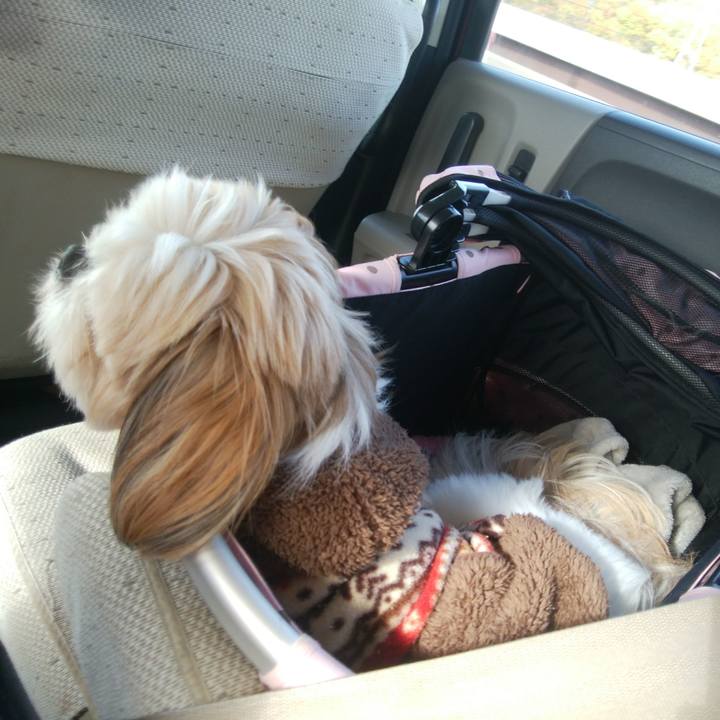 0c4de864 328a 45d8 8026 1bd3886a00cb 1511053314333