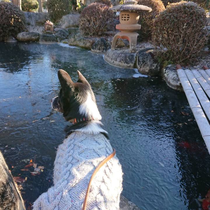 0c4e290a b035 4307 b382 41f08038365f 1610238219617