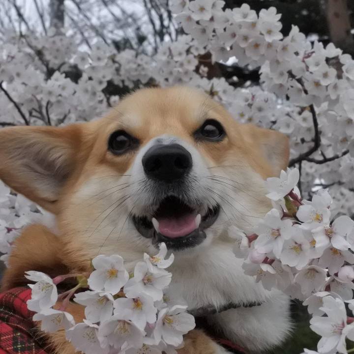 0c4e35a4 2bbc 4661 affb 4202a9d6bd36 1555743304671