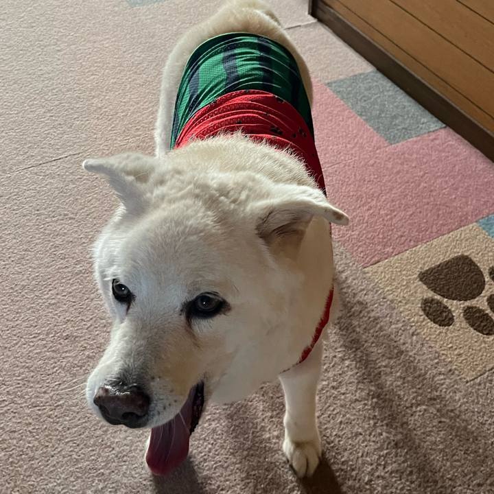 0c4e49ab c9ea 463b 845e 4deaec36968b 1758582632868