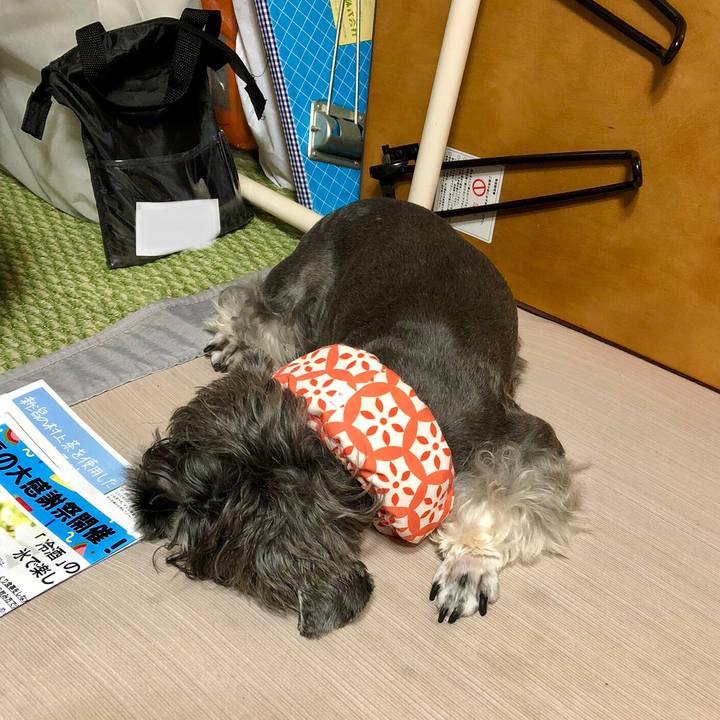 0c4e5e95 b662 4d64 9e45 de58e48d6e05 1660659628730