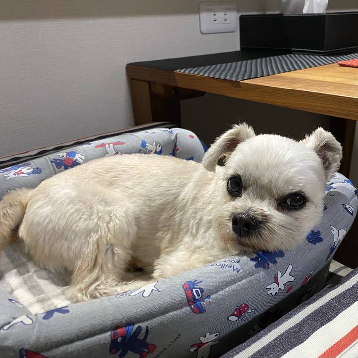 0c4eb218 e53b 411b a881 9a43920c55bc 1605530990968